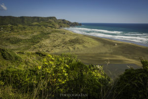 Bethells Beach