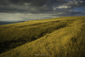 Lake Wainamu Track