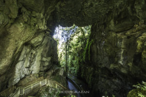 Mangapohue Natural Bridge