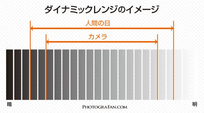 カメラのダイナミックレンジと白飛び・黒潰れの関係 | フォトグラファン