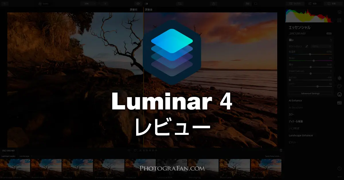 Raw現像ソフトluminar 4はai機能が秀逸でlightroomの代替としてもok フォトグラファン