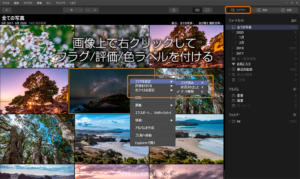 Luminarのフラグ、評価、色ラベルで写真を選別