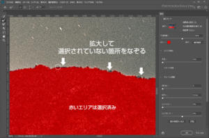 拡大して未選択部分を境界線調整ブラシツールで微調整