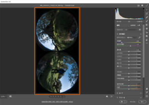 insta360 One Rのrawファイルを開いた状態