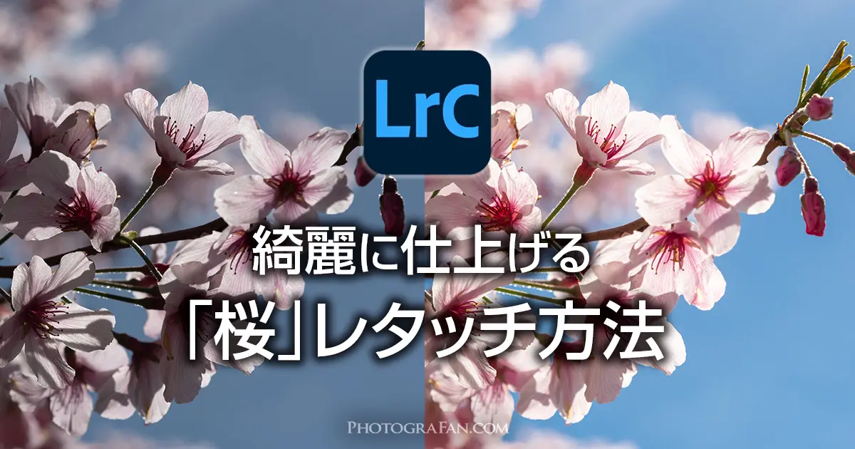 Lightroomで桜を綺麗に仕上げる写真のレタッチ方法 フォトグラファン