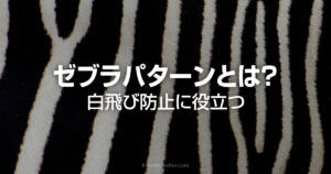 ゼブラパターンの使い方！白飛び防止や適正露出の目安になる便利機能
