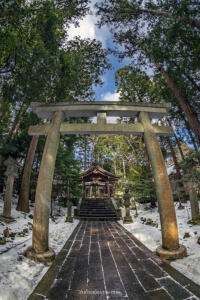 弥彦神社 鳥居