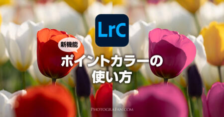 Lightroom Classicの新機能ポイントカラーの使い方