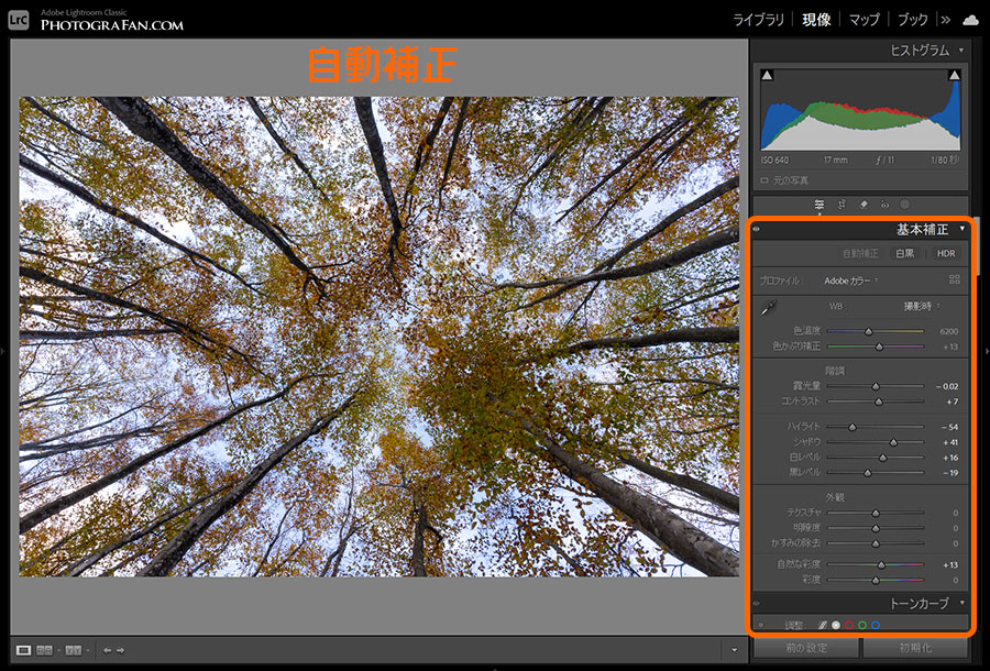 Lightroomの自動補正