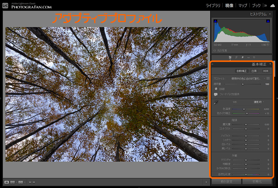 Lightroomのアダプティブプロファイル